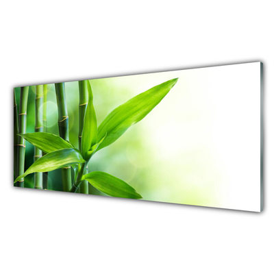 Glas billede Bambusblad Plante Natur