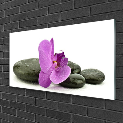 Print på glas Flower Orchid Orchid