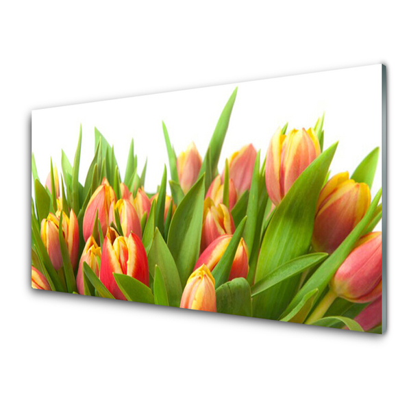 Glasbillede Tulipaner Blomster Plante