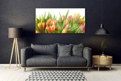 Glasbillede Tulipaner Blomster Plante