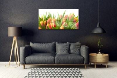 Glasbillede Tulipaner Blomster Plante