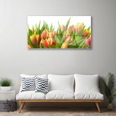 Glasbillede Tulipaner Blomster Plante