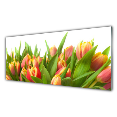 Glasbillede Tulipaner Blomster Plante