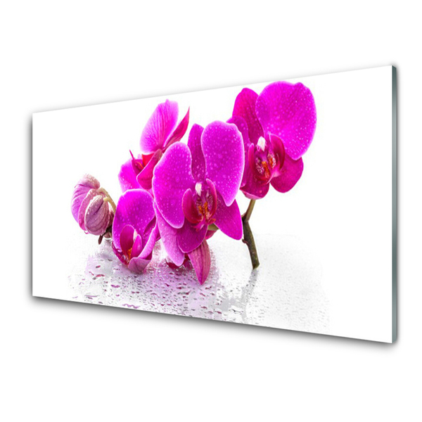 Billede glas Blomster Plante Natur