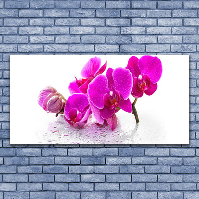 Billede glas Blomster Plante Natur