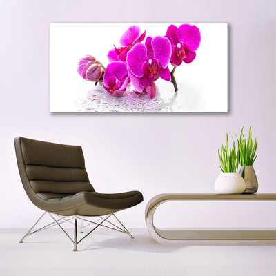 Billede glas Blomster Plante Natur