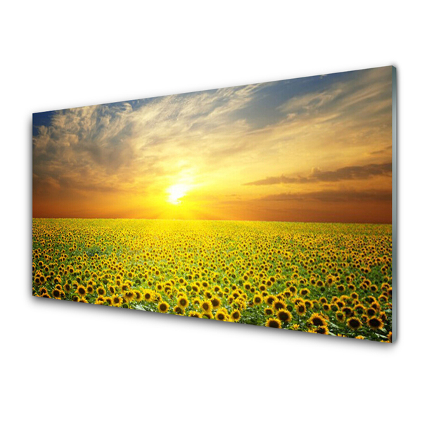 Glas billede Sun Meadow Sunflowers