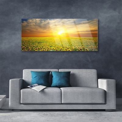 Glas billede Sun Meadow Sunflowers