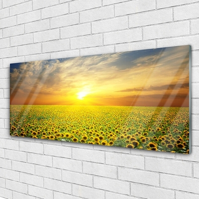 Glas billede Sun Meadow Sunflowers