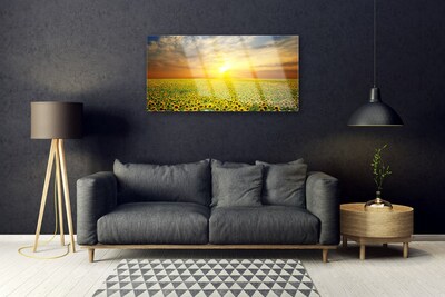 Glas billede Sun Meadow Sunflowers