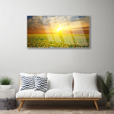 Glas billede Sun Meadow Sunflowers