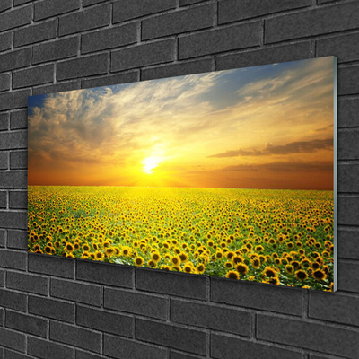 Glas billede Sun Meadow Sunflowers