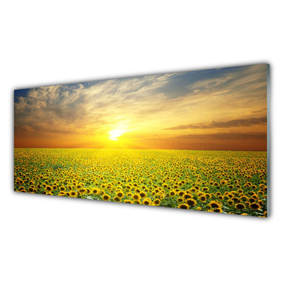 Glas billede Sun Meadow Sunflowers