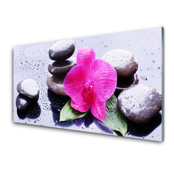 Glasfoto Flower Orchid Art