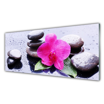 Glasfoto Flower Orchid Art