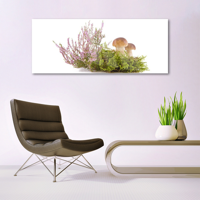 Billede glas Svampe Plante Natur