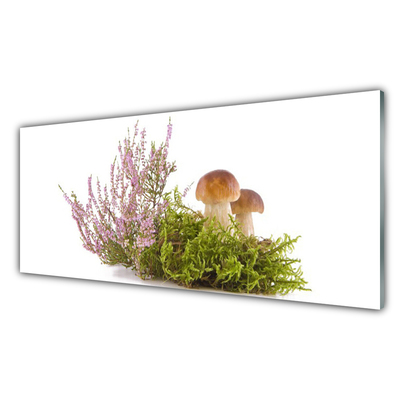 Billede glas Svampe Plante Natur