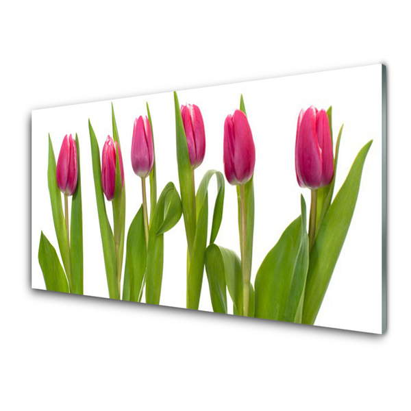 Print på glas Tulipaner Blomst Plante