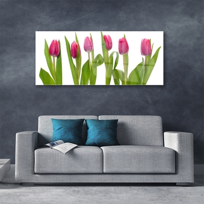 Print på glas Tulipaner Blomst Plante