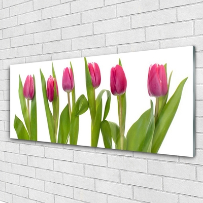 Print på glas Tulipaner Blomst Plante