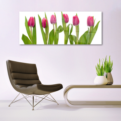 Print på glas Tulipaner Blomst Plante