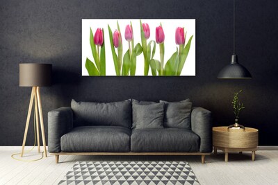 Print på glas Tulipaner Blomst Plante