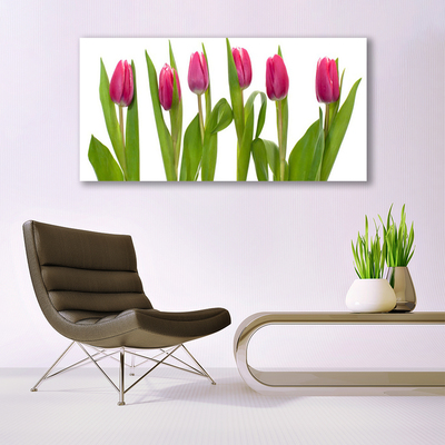 Print på glas Tulipaner Blomst Plante