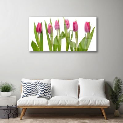 Print på glas Tulipaner Blomst Plante