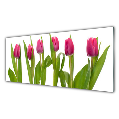 Print på glas Tulipaner Blomst Plante