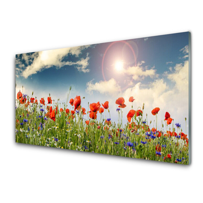 Glasbillede Eng Blomster Sol Natur