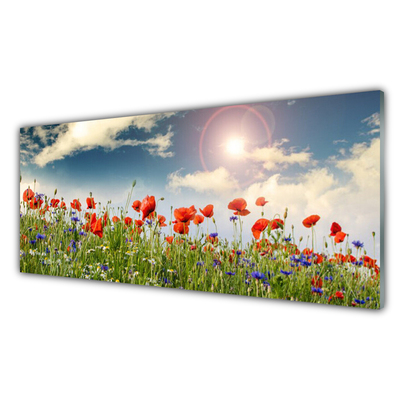 Glasbillede Eng Blomster Sol Natur