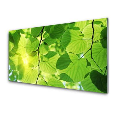 Glasfoto Blade Natur Plante