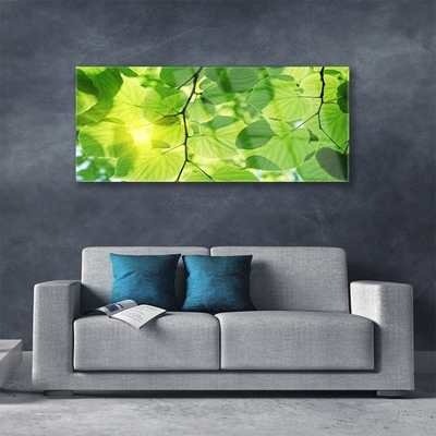 Glasfoto Blade Natur Plante