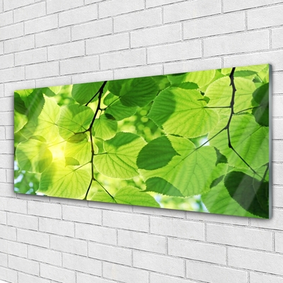 Glasfoto Blade Natur Plante