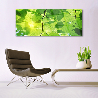 Glasfoto Blade Natur Plante