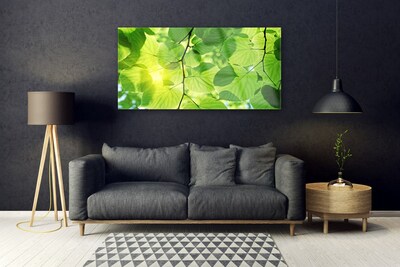 Glasfoto Blade Natur Plante