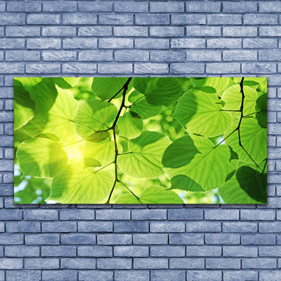 Glasfoto Blade Natur Plante