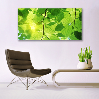 Glasfoto Blade Natur Plante