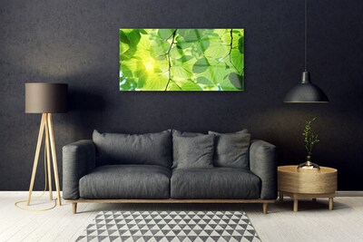 Glasfoto Blade Natur Plante