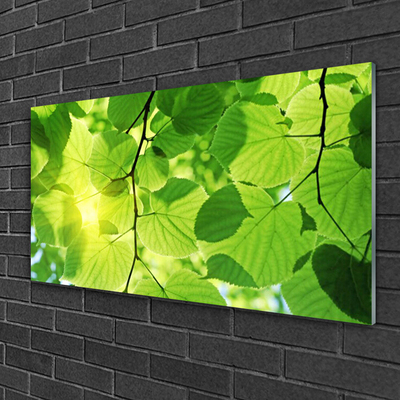 Glasfoto Blade Natur Plante