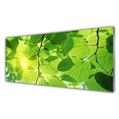 Glasfoto Blade Natur Plante