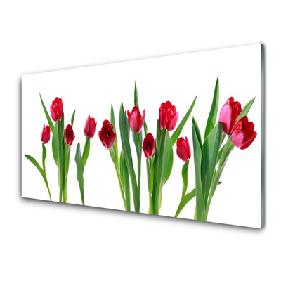 Print på glas Tulipaner Blomster Plante