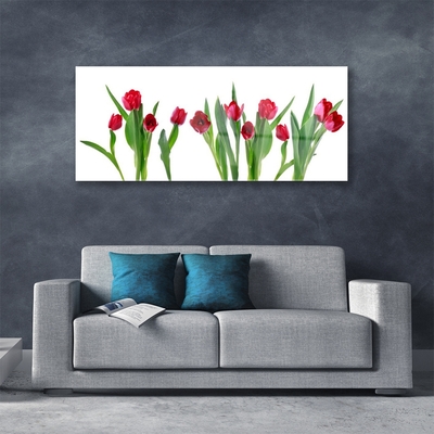 Print på glas Tulipaner Blomster Plante