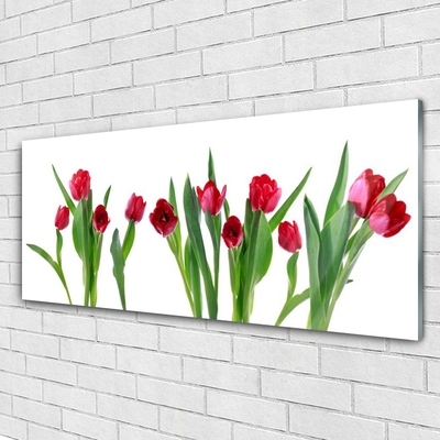 Print på glas Tulipaner Blomster Plante