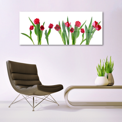 Print på glas Tulipaner Blomster Plante