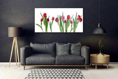 Print på glas Tulipaner Blomster Plante