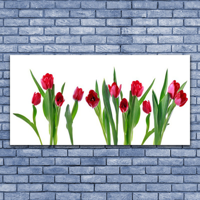 Print på glas Tulipaner Blomster Plante