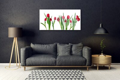 Print på glas Tulipaner Blomster Plante