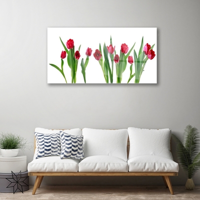 Print på glas Tulipaner Blomster Plante