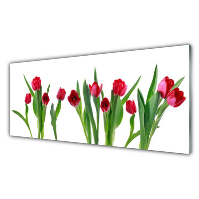 Print på glas Tulipaner Blomster Plante